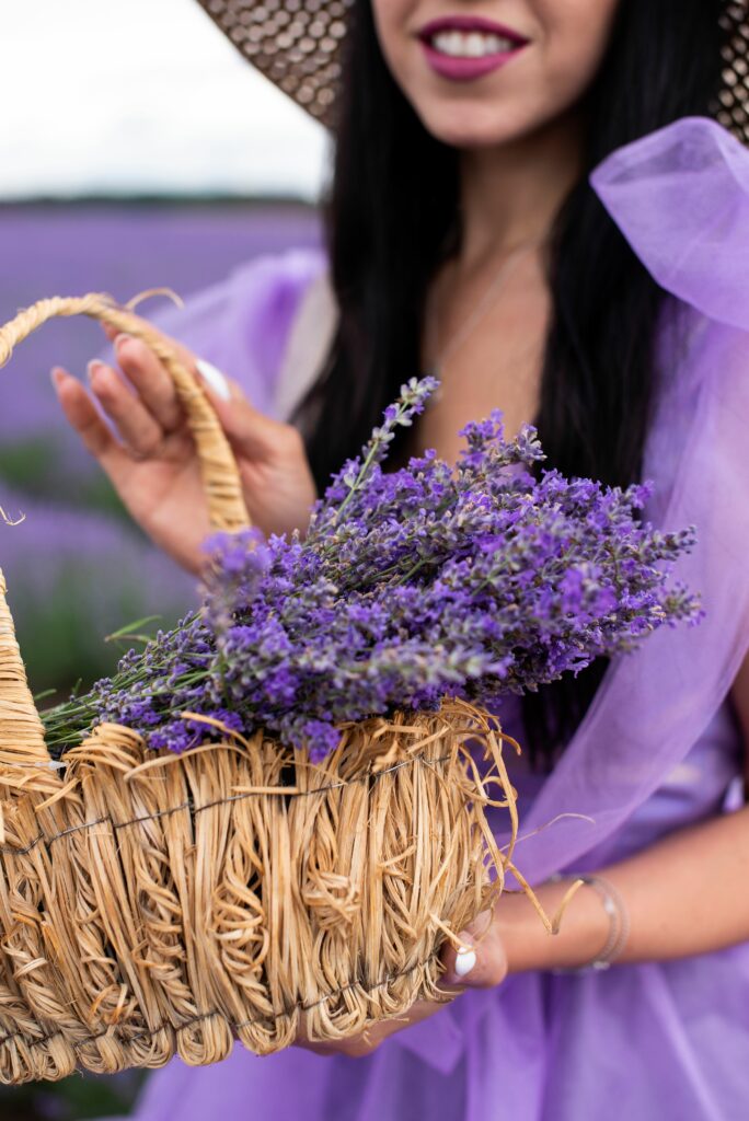 Close-up of a woman in a purple dress holding a basket of blooming lavender.